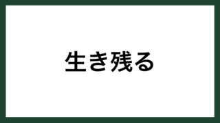 名言 雲の向こう側 アメリカの作家 L M オルコット スマネコ Blog