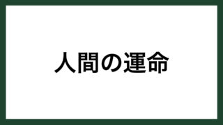 志 タグの記事一覧 スマネコ Blog