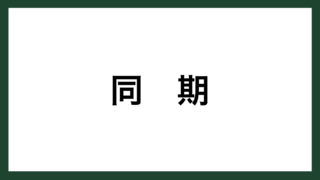 名言 納得できる練習 柔道家 谷亮子 スマネコ Blog