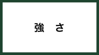 名言 リーダー フランスの政治家 ナポレオン ボナパルト スマネコ Blog