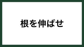 名言 誠実 小説家 夏目漱石 スマネコ Blog