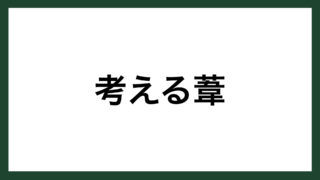 名言 笑いと幸福 フランスの哲学者 アラン スマネコ Blog