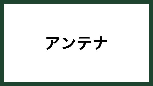 名言 発見の旅 フランスの作家 マルセル プルースト スマネコ Blog