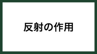 名言 反射の作用 フランスの詩人 ヴィクトル ユゴー スマネコ Blog