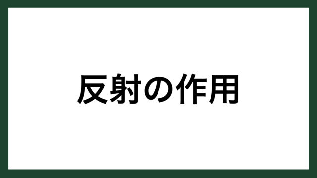 名言 弱い 小説家 夏目漱石 スマネコ Blog