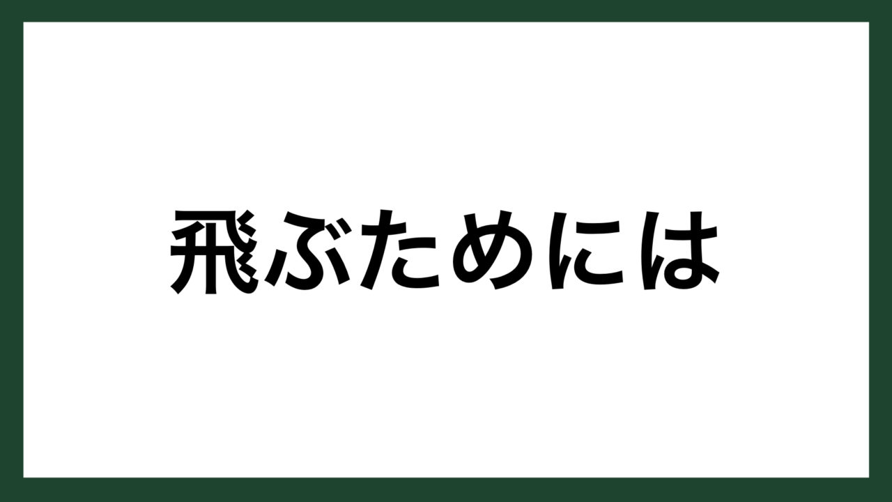 名言 飛ぶためには アメリカの芸術家 マヤ リン スマネコ Blog